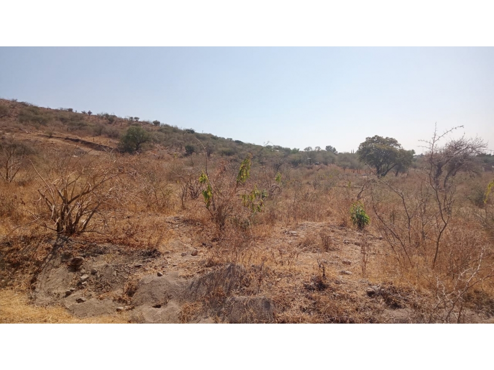 VENTA DE TERRENO. AGUAS BUENAS - 6
