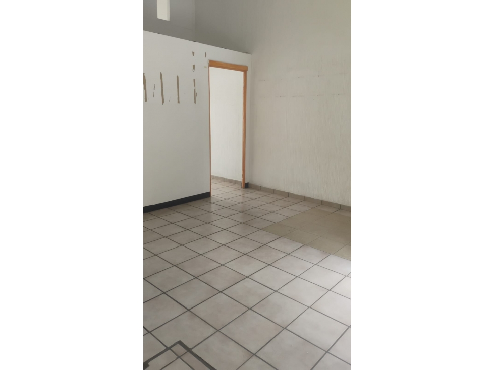 LOCAL COMERCIAL - 4