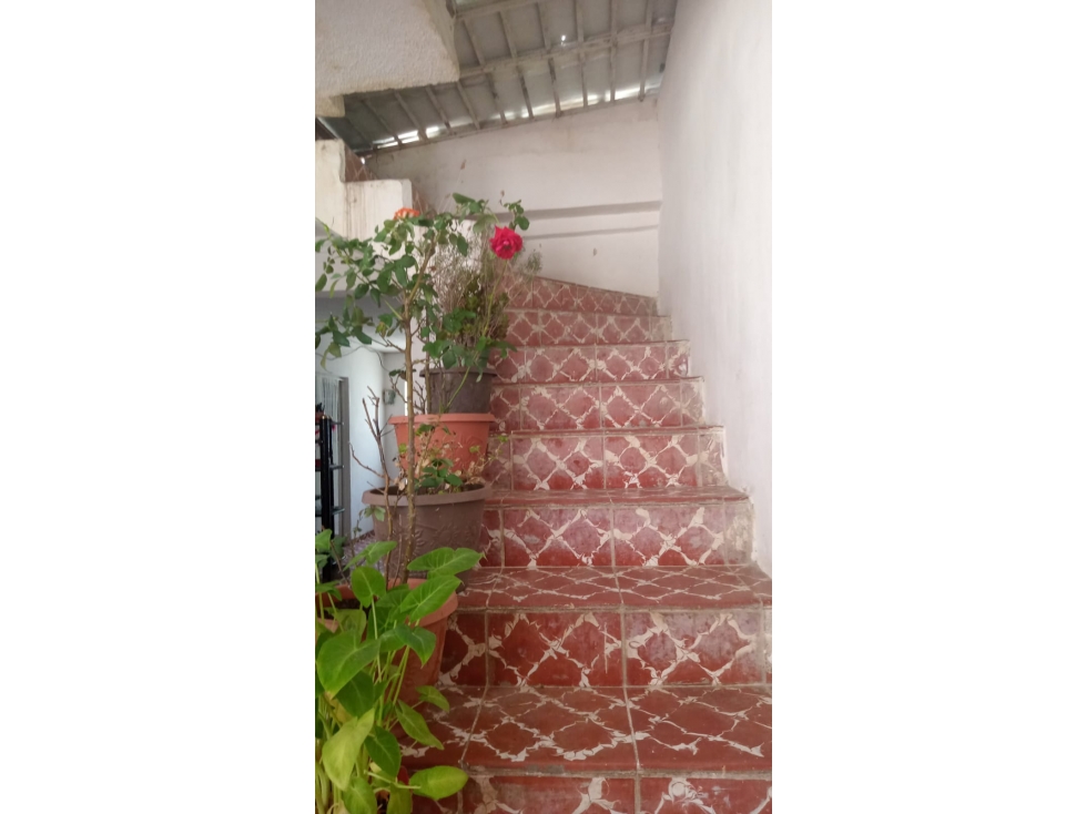 CASA VENTA EL OLIVO - 6