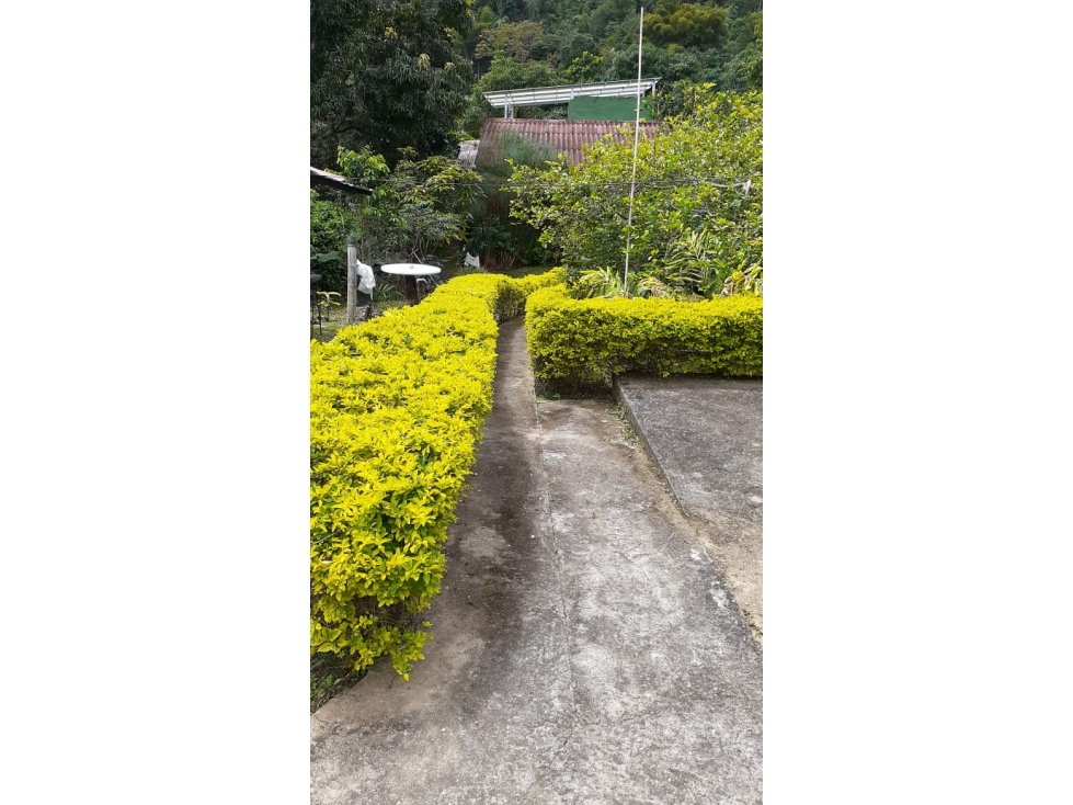 Finca en venta 550 metros San Juan de la Vega — foto 5