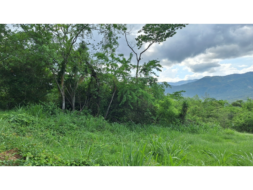 VENTA ANAPOIMA VEREDA FINCA RECREO O PRODUCTIVA P1 - 2