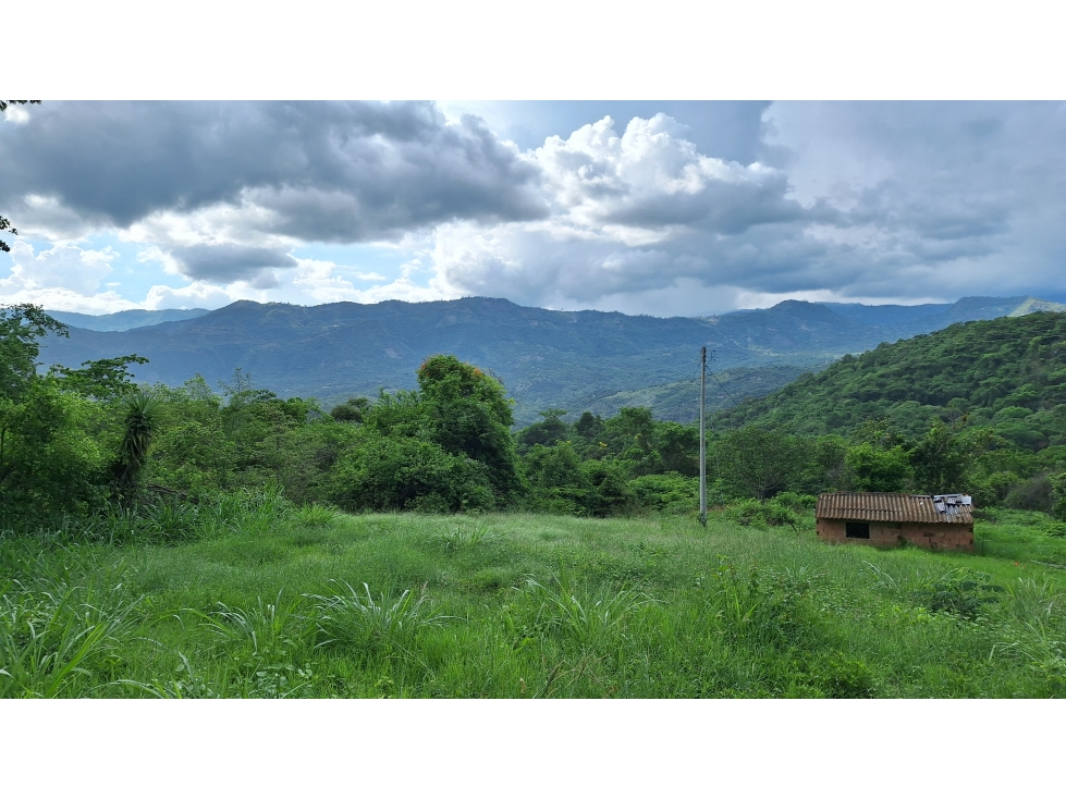 VENTA ANAPOIMA VEREDA FINCA RECREO O PRODUCTIVA P1 - 3