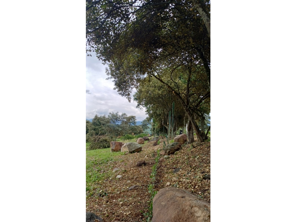 VENDO MAGNIFICO LOTE CERCA A LA MESA 2015M2 EN CONDOMINIO CERRADO — foto 4