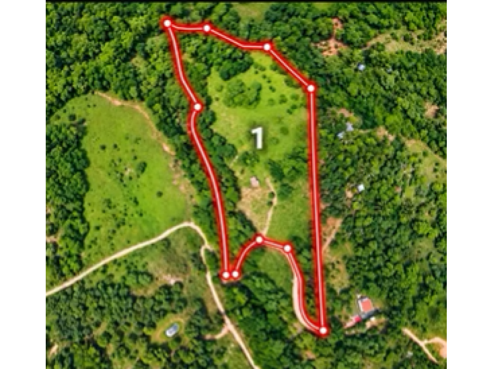 VENTA ANAPOIMA VEREDA FINCA RECREO O PRODUCTIVA P1 L1 - 3