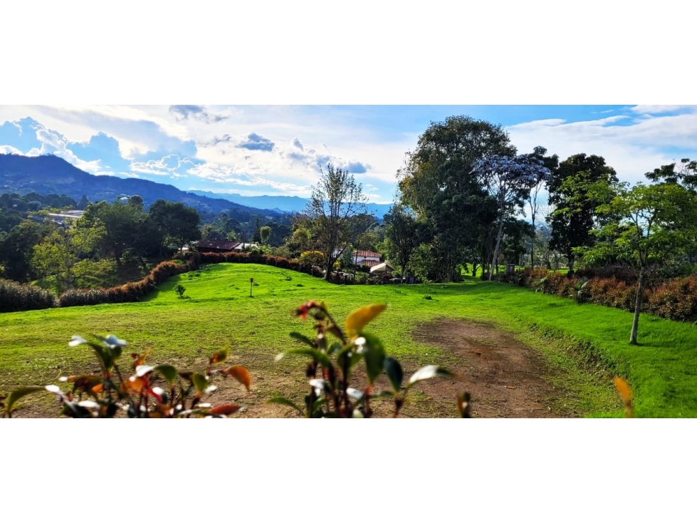 VENDO EXCELENTE LOTE MEDELLIN VIA SAN ANTONIO LA CEJA — foto 2