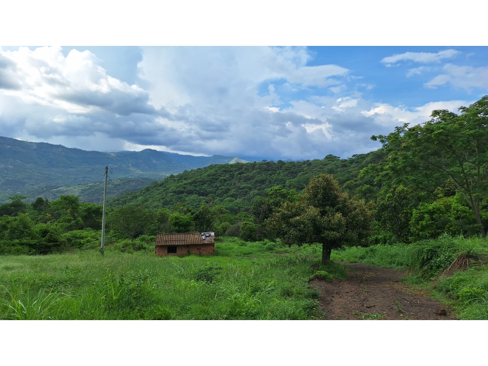 VENTA ANAPOIMA VEREDA FINCA RECREO O PRODUCTIVA P1 - 4