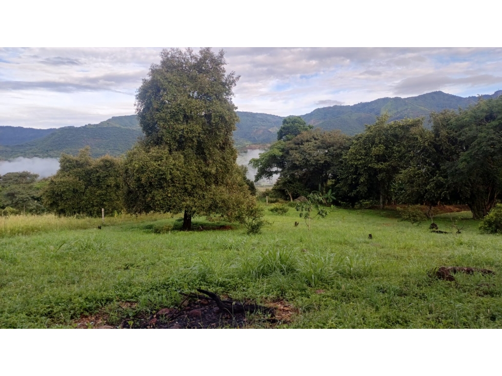 VENDO MAGNIFICO LOTE CERCA A LA MESA 2015M2 EN CONDOMINIO CERRADO — foto 5