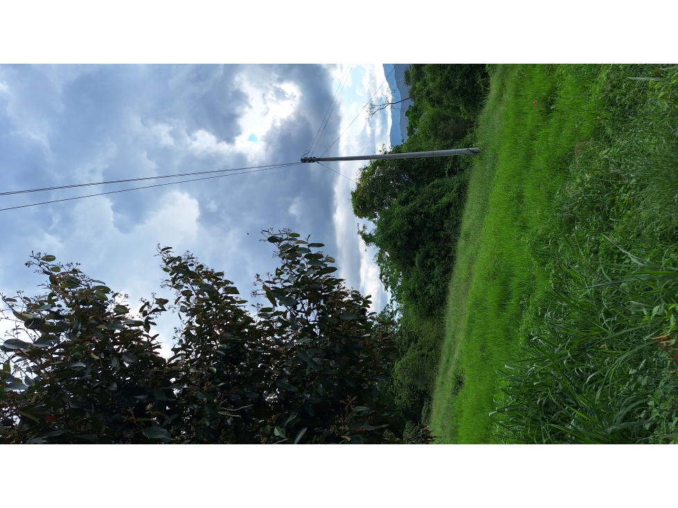 VENTA ANAPOIMA VEREDA FINCA RECREO O PRODUCTIVA P1 - 5