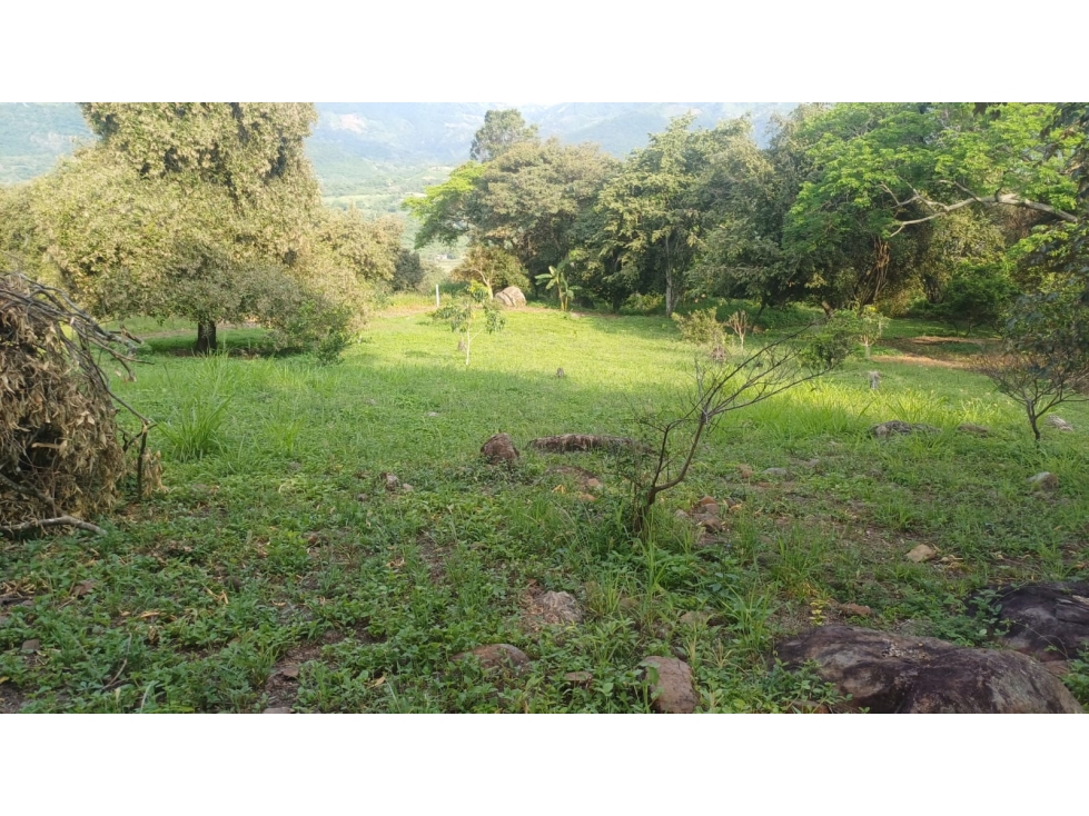 VENDO MAGNIFICO LOTE CERCA A LA MESA 2015M2 EN CONDOMINIO CERRADO — foto 6