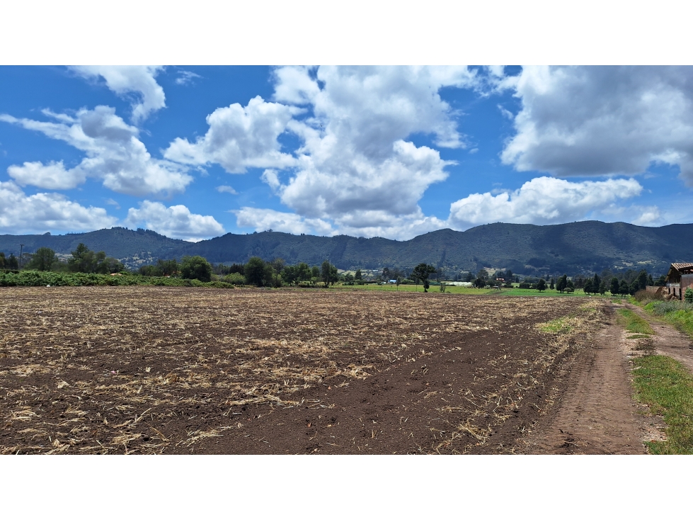 FINCA PRODUCTIVA VIA TENJO Y TABIO SABANA CUNDINAMARCA — foto 4