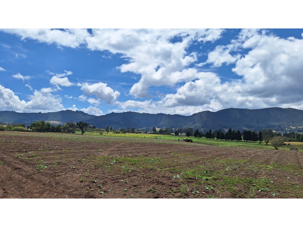 FINCA PRODUCTIVA VIA TENJO Y TABIO SABANA CUNDINAMARCA — foto 5