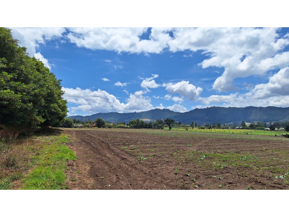 FINCA PRODUCTIVA VIA TENJO Y TABIO SABANA CUNDINAMARCA — foto 2