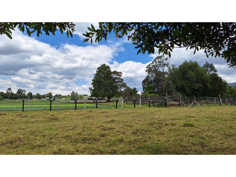 FINCA PRODUCTIVA VIA TENJO Y TABIO SABANA CUNDINAMARCA — foto 3