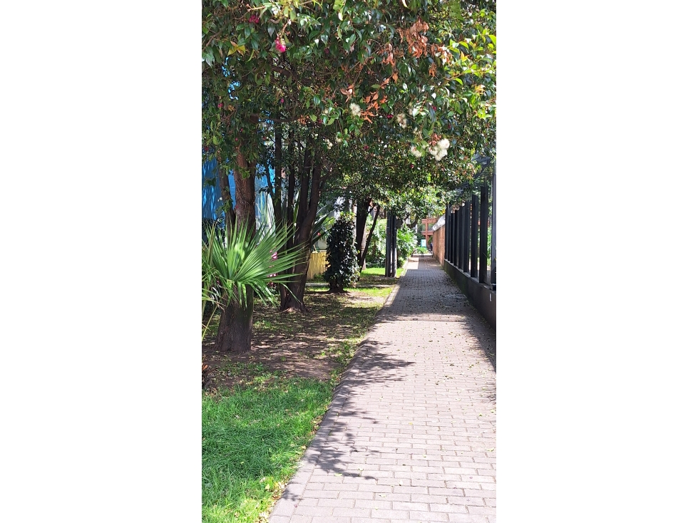 LOCAL COMERCIAL VENTA O ARRIENDO BOGOTA ZONA Y CORREDOR COMERCIAL — foto 6