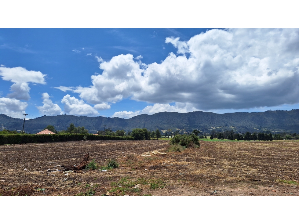 FINCA PRODUCTIVA VIA TENJO Y TABIO SABANA CUNDINAMARCA — foto 6