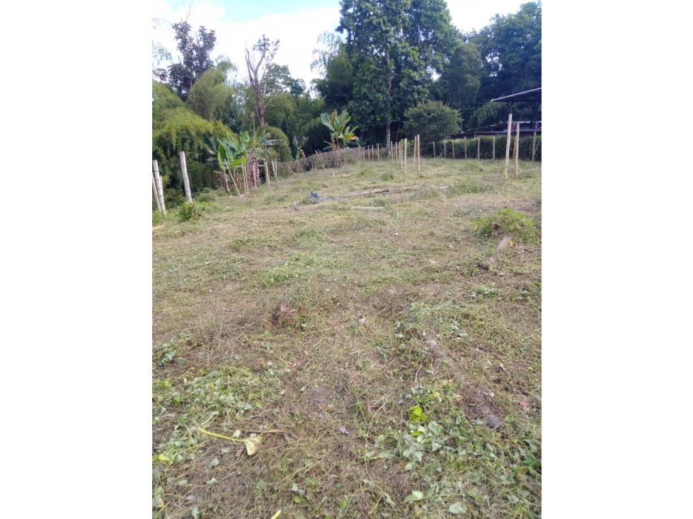 SE VENDE LOTE EN LA TEBAIDA KM6 VIA EL VALLE — foto 4