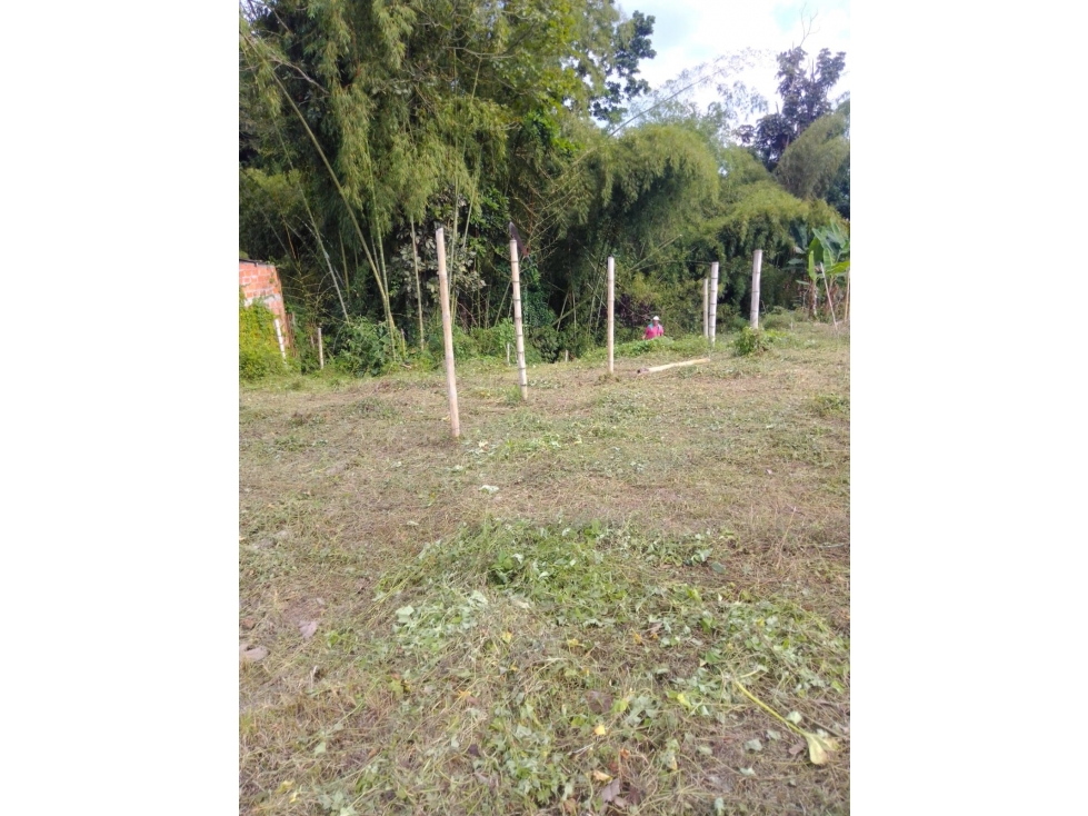SE VENDE LOTE EN LA TEBAIDA KM6 VIA EL VALLE — foto 5