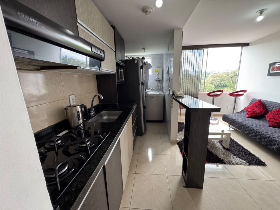 RENTA DE APARTAMENTO POR LA AVENIDA 19 NORTE — foto 5