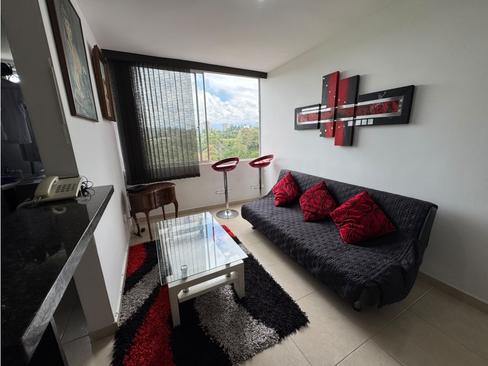 RENTA DE APARTAMENTO POR LA AVENIDA 19 NORTE — foto 3