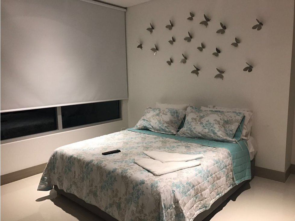 Apartamento de 1 habitación Palmetto Beach 1403