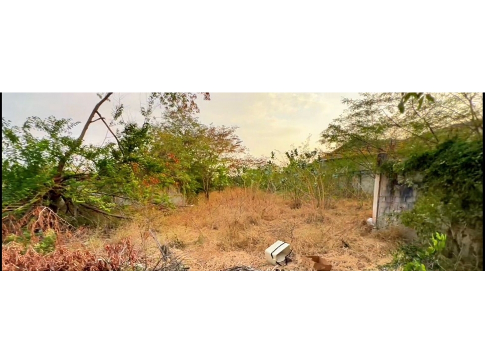 VENTA Y/O ARRIENDO LOTE CON EXCELENTE UBICACION TRONCAL SANTA MARTA — foto 4