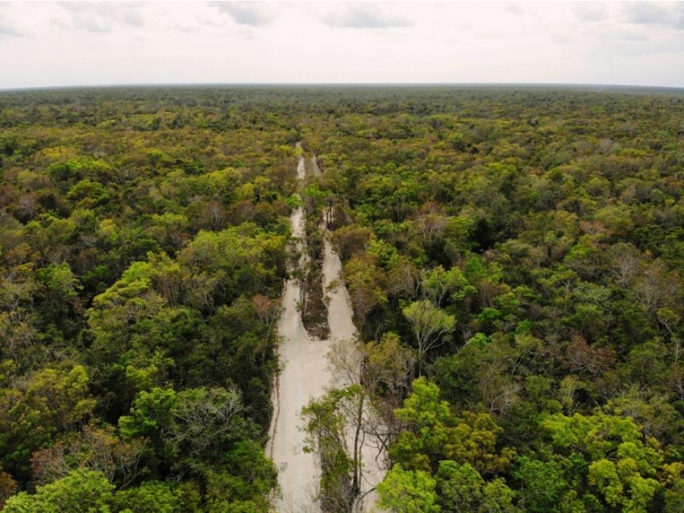 Land in Region 8, Tulum / Prime Opportunity — foto 4