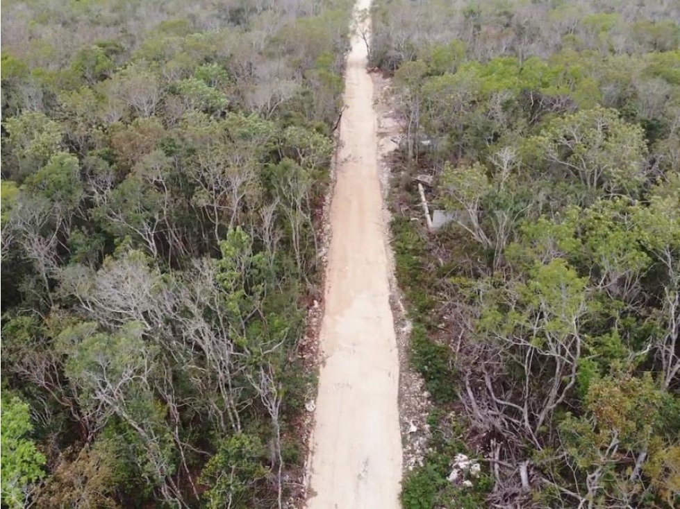 Land in Region 8, Tulum / Prime Opportunity — foto 6