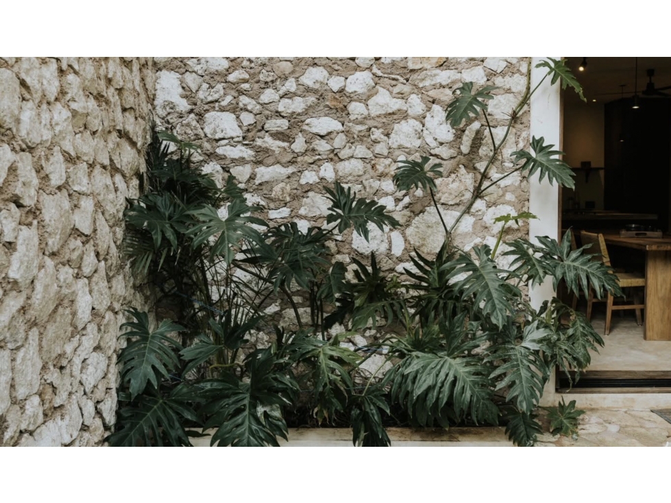 Ground-Level 1 bedroom | Private Pool + Garden — foto 4
