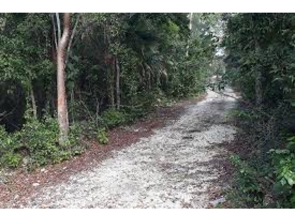 Land in Region 8, Tulum / Prime Opportunity — foto 3