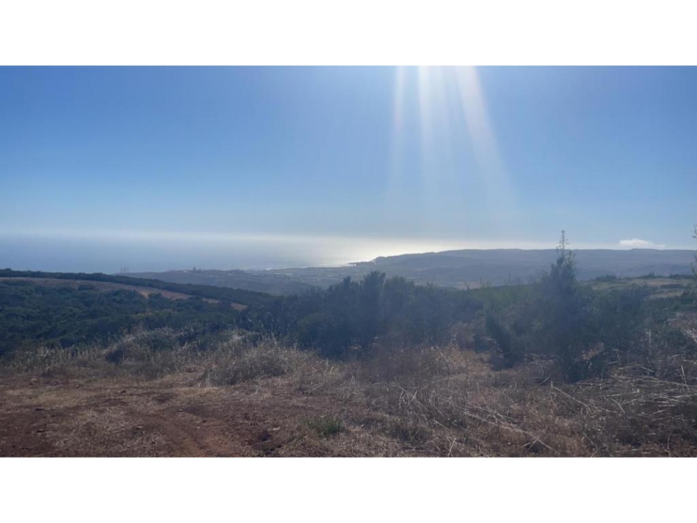 TERRENO EN VENTA EN EL SAUZAL ENSENADA DE 1.45 HECTAREAS