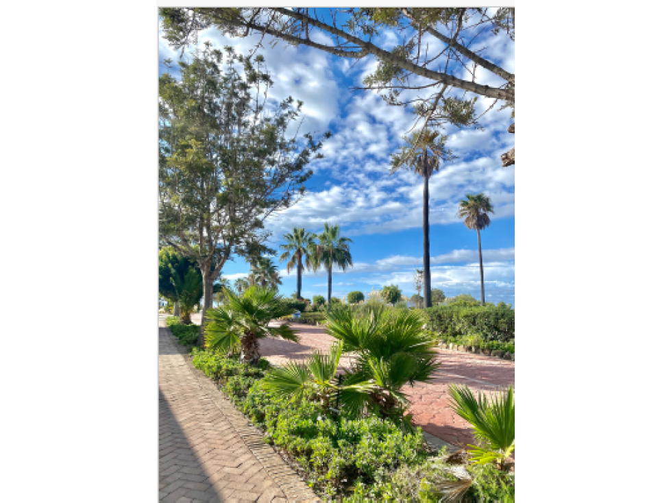 TERRENOS EN VENTA EN AMORAR EN BAJAMAR OCEAN FRONT GOLF RESORT - 1