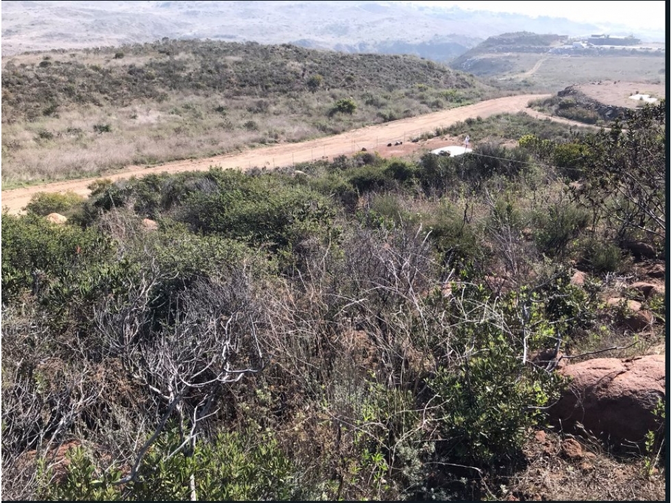 TERRENO DE 500M2 EN VENTA EN LOMAS DE SAN MIGUEL ENSENADA