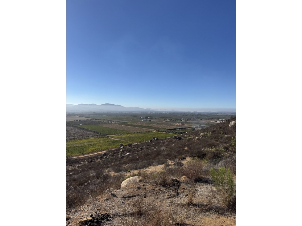 VENTA DE 9 HECTÁREAS EN VALLE DE GUADALUPE ENSENADA