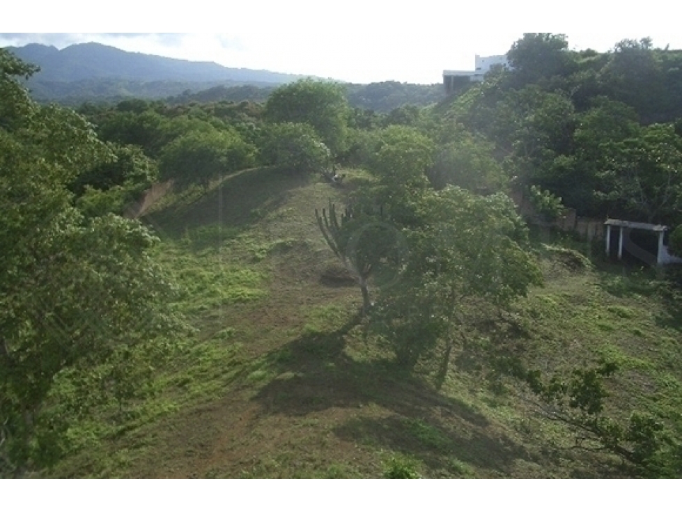 LOTE FLORES SOBRE CARRETERA LA CRUZ - PUNTA MITA - 3