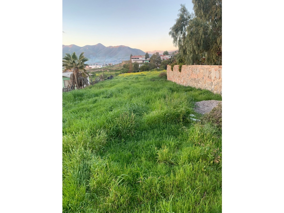 TERRENO EN VENTA EN EL FLORIDO VIEJO TIJUANA A USD$200.00 EL M2 - 2