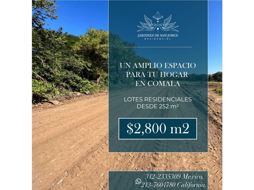LOTES RESIDENCIALES EN COMALA DETRÁS DE LA UNIDAD DEPORTIVA - 2
