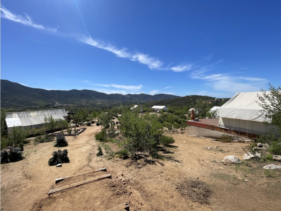 Oportunidad de Inversión - Hotel Glamping Boutique en Venta Valle Gpe. - 2