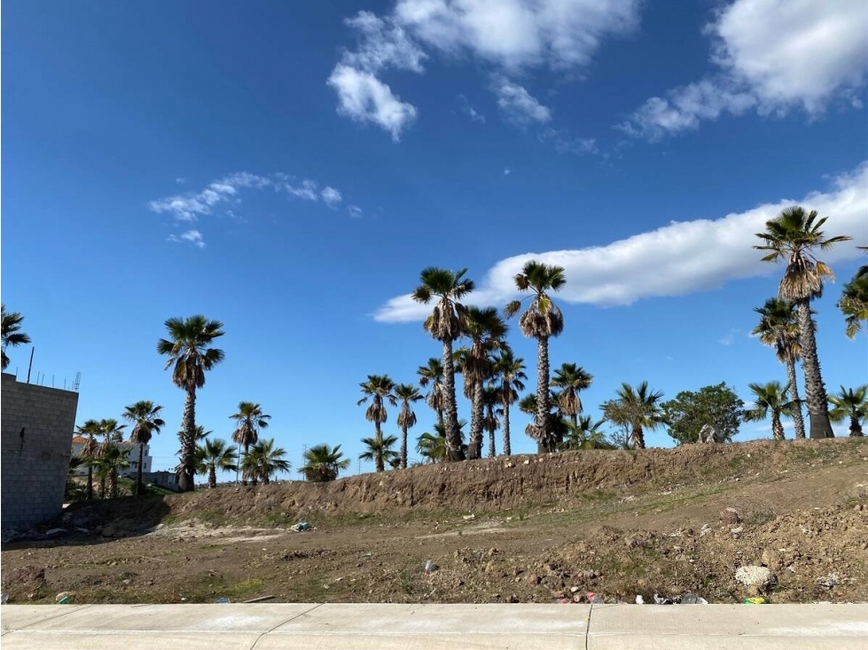 LAND FOR SALE IN REAL DEL MAR, SECC PARQUE REAL TIJUANA 500 USD X M2 - 2