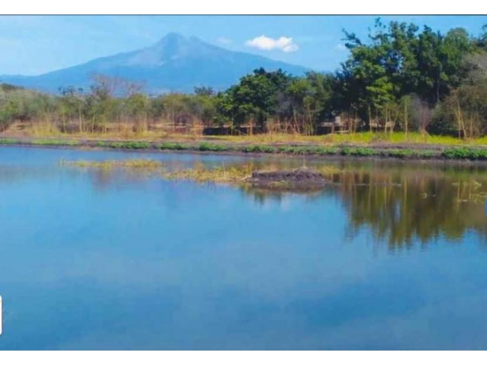 EN VENTA RANCHO DE 28.8 HECTAREAS A PIE DE CARRETERA EN TICUISTAN - 3