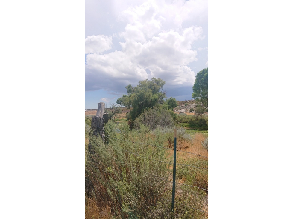 TERRENO EN VENTA AL COSTADO DE LA CIENEGA REDONDA TECATE USD$6.00 XM2 - 3