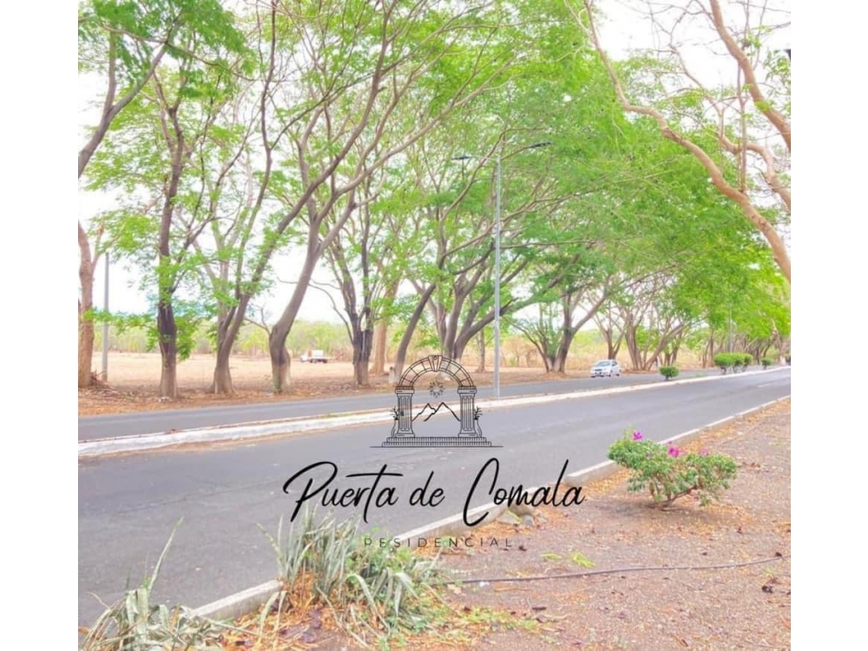 TERRENO REGULAR EN VENTA EN FRACCIONAMIENTO PUERTA DE COMALA COLIMA - 3
