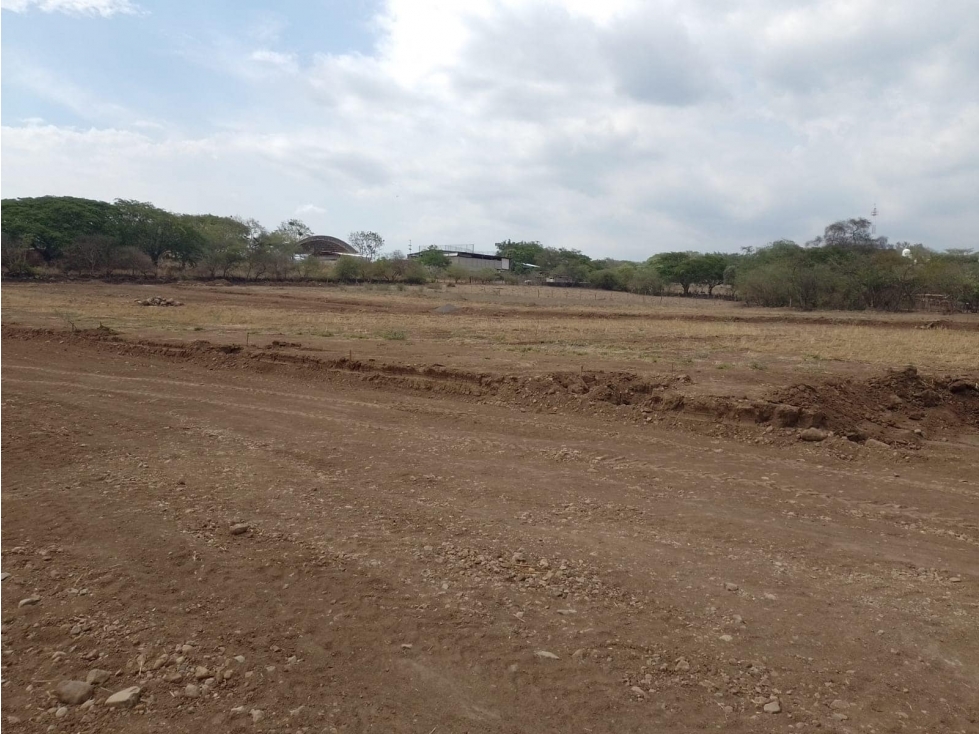 LOTES RESIDENCIALES EN COMALA DETRÁS DE LA UNIDAD DEPORTIVA - 3