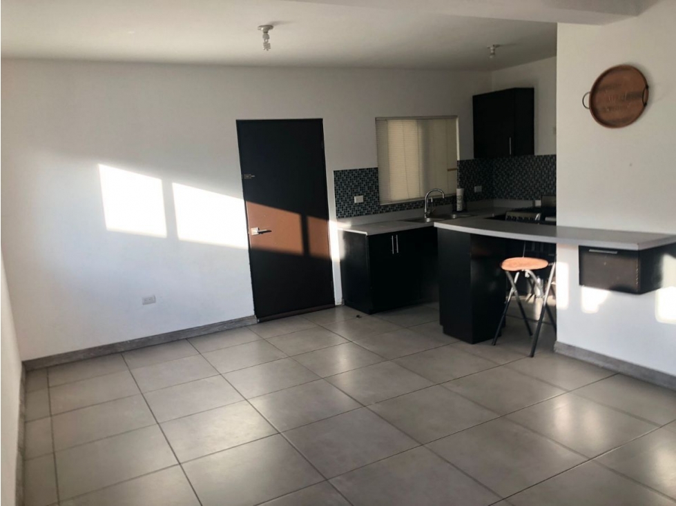 APARTMENT FOR RENT IN COTO PEDREGAL COL. BUENA VISTA, TIJUANA, B.C. — foto 3