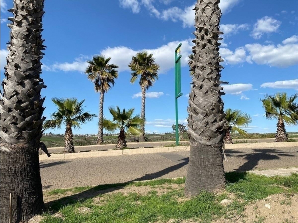 TERRENO EN VENTA REAL DEL MAR, SECC PARQUE REAL TIJUANA 500 USD X M2 - 3