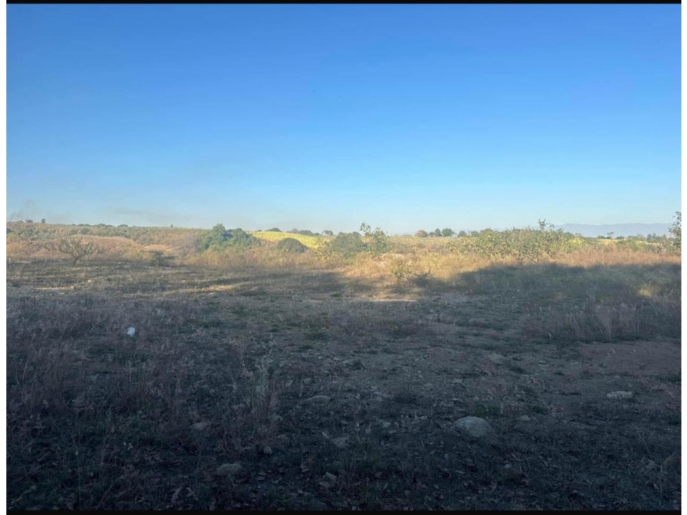 EN VENTA 3 HECTAREAS EN EL CAMPANARIO ALCARACES, COLIMA - 3