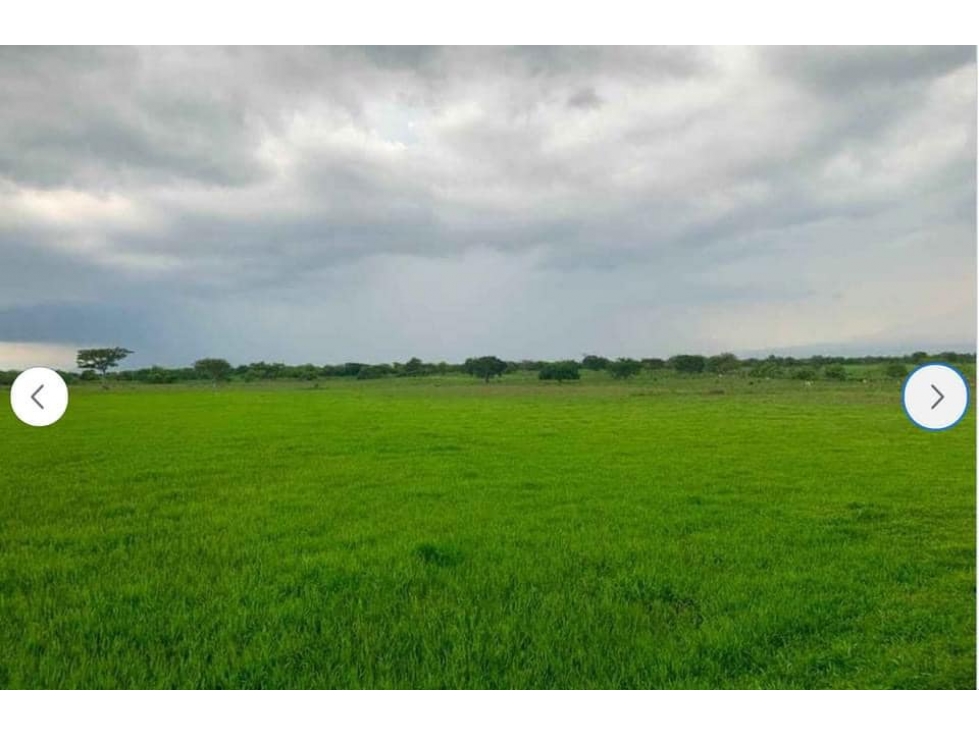 EN VENTA RANCHO DE 28.8 HECTAREAS A PIE DE CARRETERA EN TICUISTAN - 4
