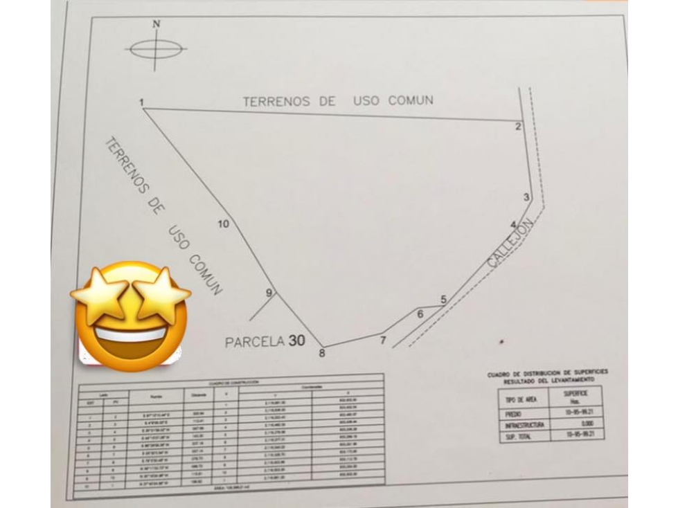 DE OPORTUNIDAD 10.9 HECTAREAS EN VENTA EN ACATITAN COLIMA - 4