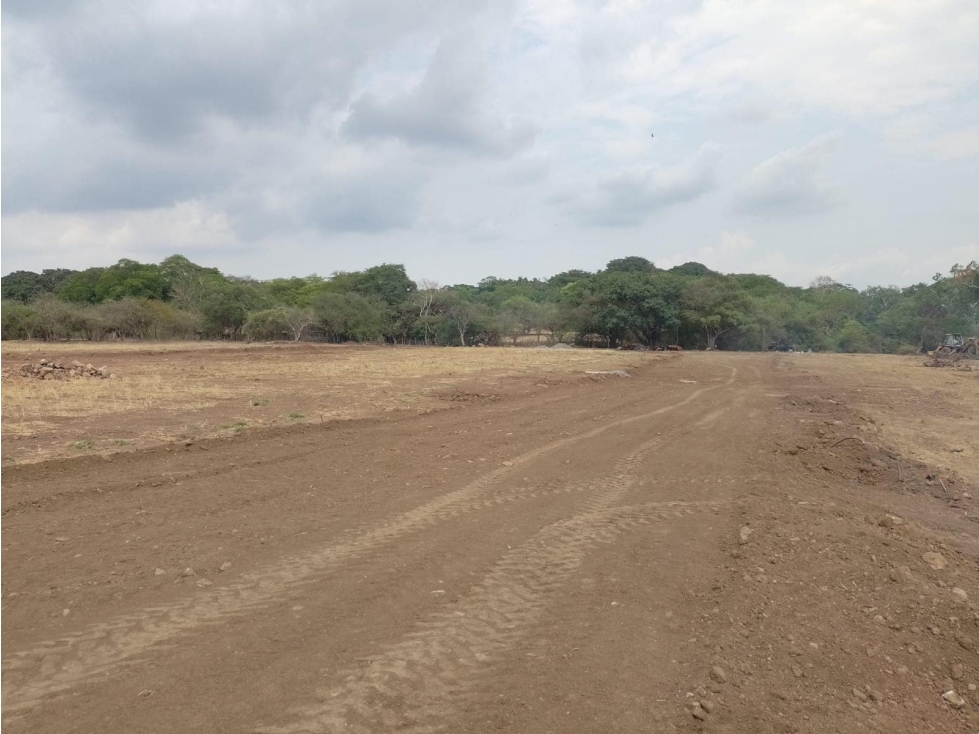 LOTES RESIDENCIALES EN COMALA DETRÁS DE LA UNIDAD DEPORTIVA - 4