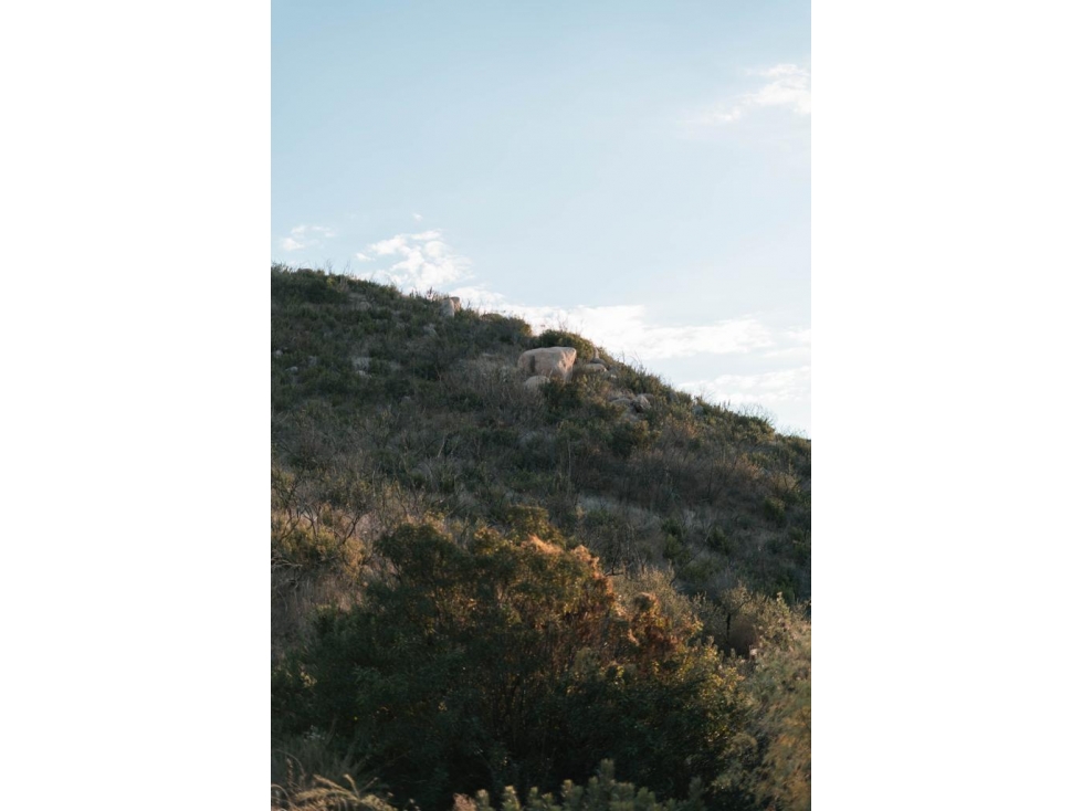 COMMERCIAL LAND OF 10000M2 RANCHO ENCANTO DEL VALLE ENSENADA — foto 4