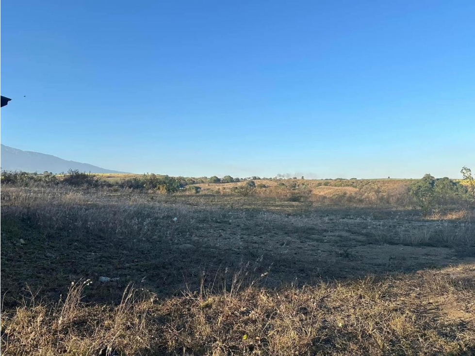 EN VENTA 3 HECTAREAS EN EL CAMPANARIO ALCARACES, COLIMA - 4